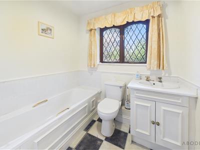 Picture 11